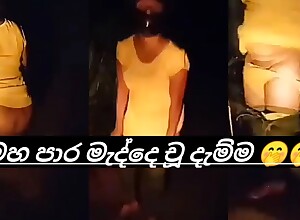 Sri lankan aunty open-air pissing photograph
